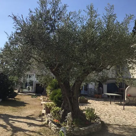 Holiday Chemin Du Coquillon Semesterbostad Roquemaure (Gard)